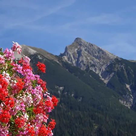 Haus Schoenblick Апартаменты